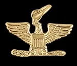 Army Colonel Pin